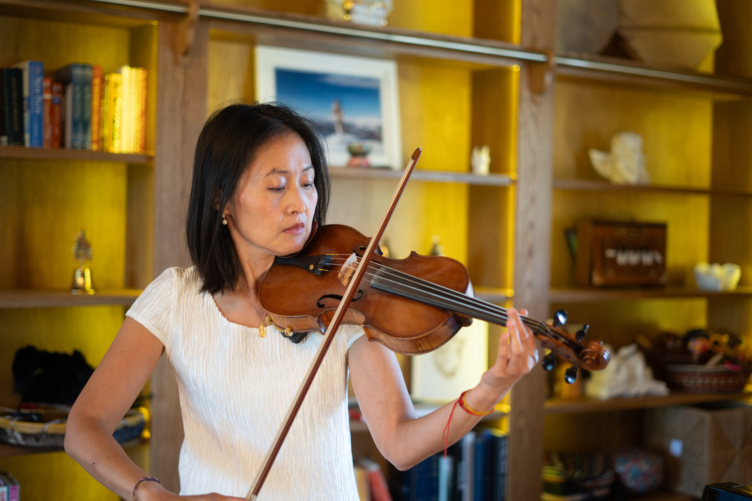 Violin
